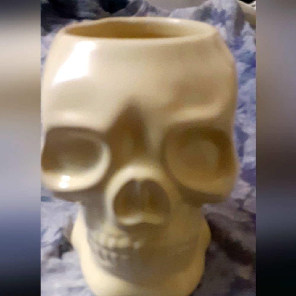 Skull mug,vintage new/old stock, ceramic by Accoutrements